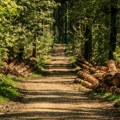 WWF: Srbija 16. maja ulazi u ekološki dug
