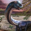 Kako je izgledao Nagatitan? Naučnici na Tajlandu otkrili fosil nove vrste dinosaurusa