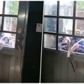 Позната новинарка снимила сопствену отмицу! Маскирани нападачи маљевима ломе врата, упадају с пушкама у кућу, а од ње до…