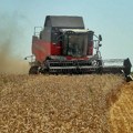 Evropski berzanski indeksi uglavnom u padu, porasla cena pšenice