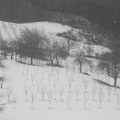 Pronađen mrtav čovek na Goliji zatrpan snegom: Veruje se da je umro od smrzavanja