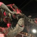 Dvesta godina otkrića dinosaursa, šta je sve poznato o njima?