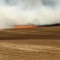 Bukti požar na njivama u okolini Kule: Vatrogasne ekipe na terenu, objavljen snimak vatrene stihije (video)
