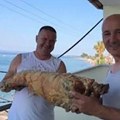 "Za 120 evra svi su jeli, sedam dana": Srbi iz Kuršumlije strpali jagnje u gepek i poneli ga za Grčku