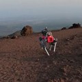 Roboti psi na Etni testirani da predvide erupcije vulkana