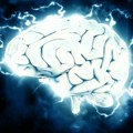 Naučnici napravili korak bliže "oživljavanju" mozga nakon zamrzavanja