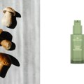 „Mushroom skincare“: Zašto su gljive postale glavni „beauty“ sastojak?