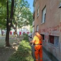 MEDIANA UREĐUJE NIŠ: Čišćenje, košenje i uređenje zelenila na brojnim lokacijama
