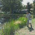 Tretmani suzbijanja komaraca u Kragujevcu u četvrtak