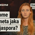 Mašina Dnevnik, 2. oktobar: Kome smeta jaka dijaspora?