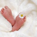Za dan u Novom Sadu rođena 21 beba