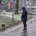 Stiže sneg! Tokom noći zabeleće se ovi delovi Srbije, napadaće i do 10 centimetara: Upaljen alarm RHMZ