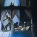 Desingerica izašao iz utrobe žene, pa prekrstio publiku: „Samo nasilje, bajo“ VIDEO