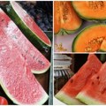 Leto se ne može zamisliti bez njih Evo koliko koštaju lubenice i dinje na pijacama