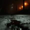Zeleno "čudovište" u Futogu: Noću plaši prolaznike i kao da širi ruke, a zapravo je lokalna atrakcija