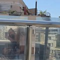 Terasa sa pogledom na hram: Rasta sredio balkon po meri, na njemu se i šiša: Objavio snimak na mrežama