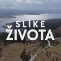 Slike života, nedelja u 15.15h: Rika vodenog bika