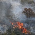 Hrvatska: Požar iz Crne Gore zahvatio Konavle, u gašenje uključena i dva kanadera