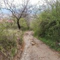 Grad Leskovac pozvao građane da vansudski rešavaju naknadu za parcele preko kojih su izgrađeni putevi