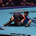 Prvi, ali ne i poslednji UFC spektakl u Beogradu?