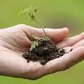 Kako naučnici pripremaju biljke za topliju planetu