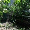 Radnici Zelenila non-stop na terenu: Oluja lomila ogromna zdrava stabla, više od 1.000 prijava