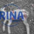 Krv na sve strane i rastrgnute životinje: Psi lutalice napravile pokolj u domaćinstvu Radulovića u Konjevićima kod Čačka…