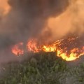 U februaru zabeležen rekordan broj požara u amazoniji: Klimatske promene guše "pluća sveta"