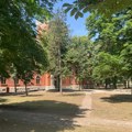 Preminula žena na koju je palo drvo u dvorištu bivše kasarne na Bubnju gde su niški sudovi