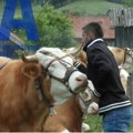 A od opštine - put do kuće: Svako ko hoće da se vrati na dedovinu u neko od zlatiborskih sela dobiće asfaltni prilaz do svojih…