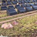 (Uznemirujuće) Svinjske glave pobacane na muslimanske grobove! Horor na zapadnom sidnejskom groblju nakon masakra na plaži…