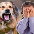 Власнички пас изуједао петогодишњу девојчицу по лицу и телу! Дете задобило теже телесне повреде, ево шта је довело до…