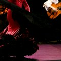 Španski flamenko u Nišu