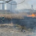 Gori Ticanova bara u Sremskoj Mitrovici: Vatra zahvatila trsku, vatrogasci u akciji (video)