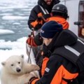 Srce će vam se slomiti: Istraživači spasili polarno meče okovano ledom, njegova reakcija je nesvakidašnja