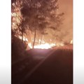 (Видео уживо) на тасосу букти огроман пожар! Туристи беже у колонама, евакуисан хотел, ватра се шири великом брзином