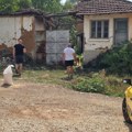 NA LICU MESTA: "Opsada" svinja u Prisjanu!