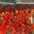 Koliko dinara za 600 grama jagoda? Ovo su cene na zelenoj pijaci u srpskom gradu