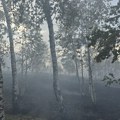 Lokalizovan požar na Divčibarama, zahvatio površinu od nekoliko hektara pod niskim rastinjem i drvećem (foto)