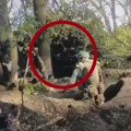 Užasavajući snimak iz Ukrajine: Vojnici opkolili zemunicu i pokušali da zarobe protivnika, ali onda odjeknula stravična…