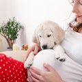 Moćno šesto čulo Psi mogu da nanjuše trudnoću