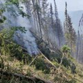 Jak vetar desetkovao šumu u Nacionalnom parku Tara Stradali planinski četinari, kreće se u sanaciju oštećenih površina na…