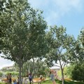 Vreme je za novo poglavlje: Deca rastu uz miris borova, a roditelji konačno imaju vremena za sebe: Ovo naselje može uskoro…