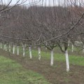 Podsticaji za podizanje i opremanje zasada voća