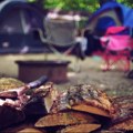 Broj noćenja turista u slovenskim kampovima udvostručen u petnaest godina