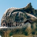 Pronađeni tragovi koji bi mogli da razotkriju tajnu razmnožavanja dinosaurusa