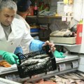 Srbija nema dovoljno ribe za potrebe domaćeg tržišta: Šaran u marketu od 670 din