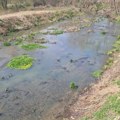 U bioelektrani kod Bojnika tvrde da nisu uzrok zagađenje kanala i pomor riba u Pustoj reci, ali priznaju jednu havariju