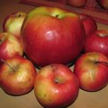 Rusija najviše jabuka uvezla iz Srbije