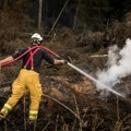 Пожар захватио 3.000 хектара у подручју Високих мочвара у Белгији: У сред ватре пронађен и спасен повређени срндаћ
